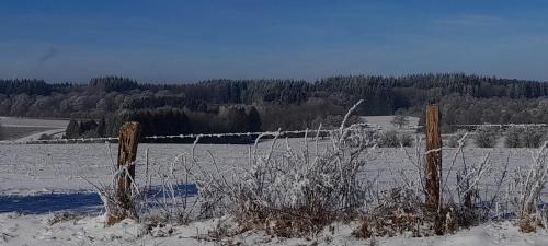 Le Sentier des Lavandes