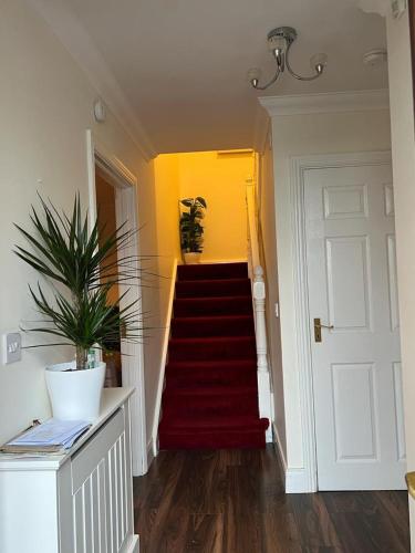 Green Grace Dublin Home Stay for families and females