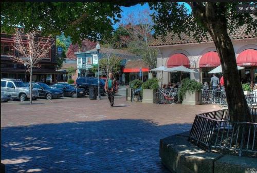 Downtown Vintage - Mill Valley - Walk Everywhere!