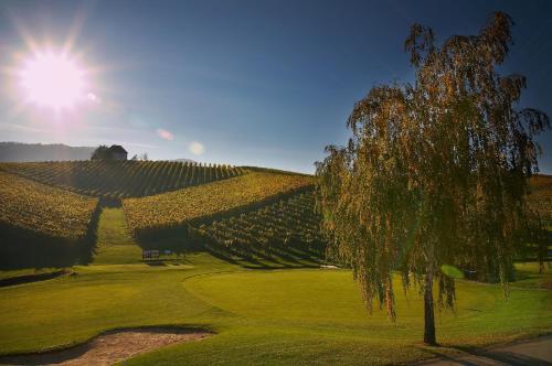 Wine Grower's Mansion Zlati Gric