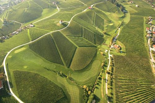 Wine Grower's Mansion Zlati Gric - image 6
