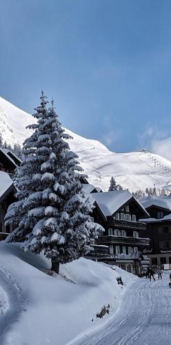 Imhof Alpine B&B Apartments - Tap to explore photos