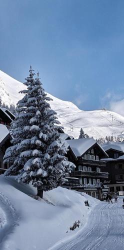 Imhof Alpine B&B Apartments Bettmeralp