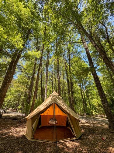 Casa del Árbol - Camping