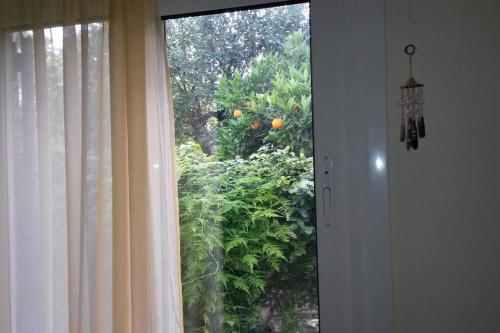 Small House with Garden, Atény (fotografie 5)