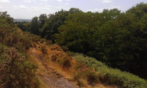 MANOIR DU TERTRE au coeur de la forêt de Brocéliande