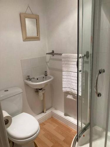 Vannas istaba, Studio Annexe with separate shower room in Broadhempston