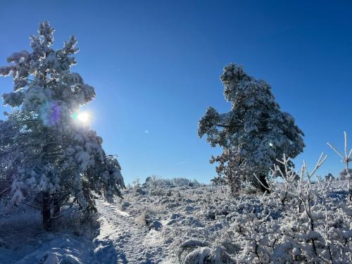 Little Roua Ardenne Cottage 4 pers