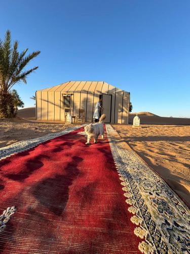 Omgeving, Sahara Luxury Camp VIP in Merzouga