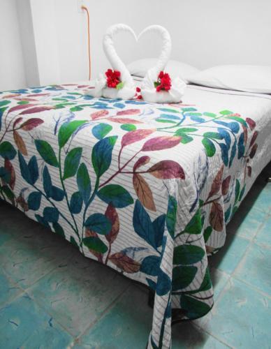 Cocos Room Type - Apartment