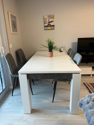 Tirana Gallery Apartment - City Center View, Tirana (photo 10)