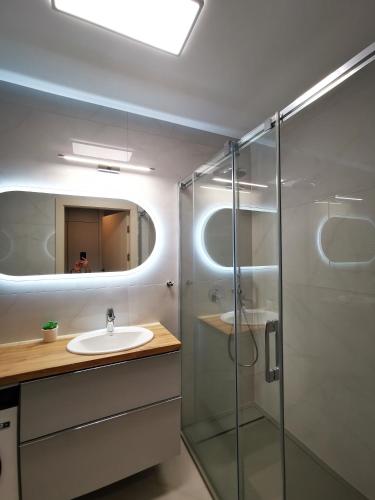 One-Bedroom Apartment image 7