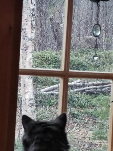 Tommy and Ailins cabin Tommy and Ailins cabin