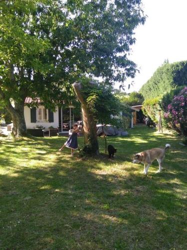 Maison Landaise 3 chambres avec jardin et piscine