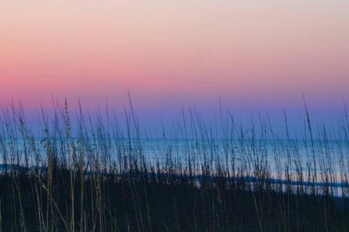 Ocean Sunrise Condo ~ 2B/2B