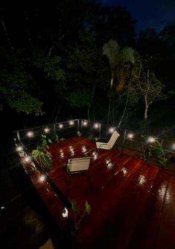 Ficus house in Boca Tapada