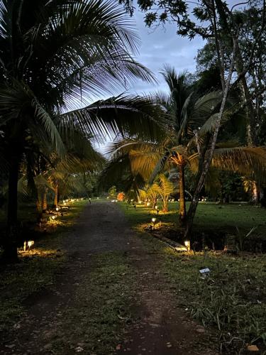 Cabañas Del Lago / Bungalows