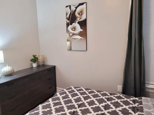 Brand new house in downtown with parking in Buffalo, USA