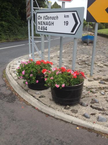 Shannon Breeze B&B - image 7