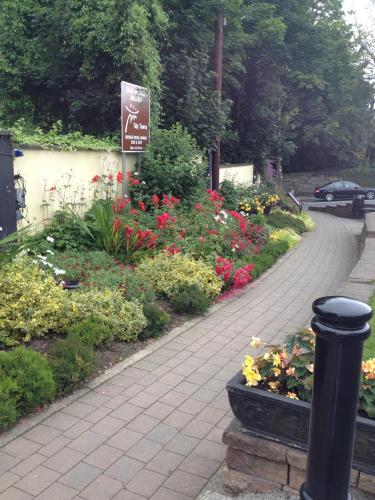 Shannon Breeze B&B - image 4