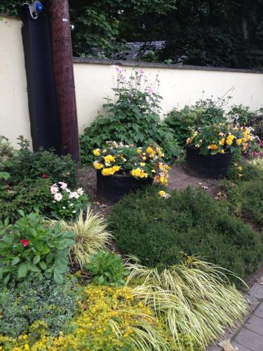 Shannon Breeze B&B - image 8