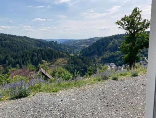 Tinyhouse Wald(t)raum Tinyhouse Wald(t)raum