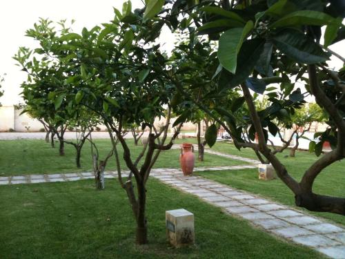Masseria Li Campi - image 2