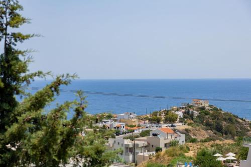 7 SENCES!!, Gázion (Foto 7)
