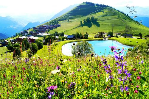 Appart - Chalet du Hameau des Aiguilles