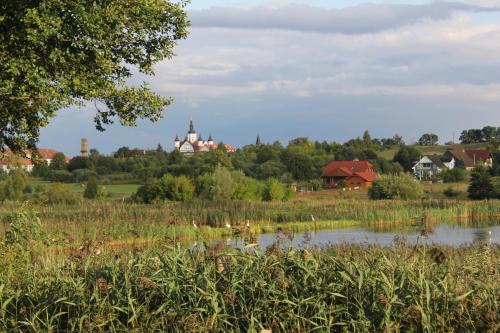 Żabi Staw - image 10