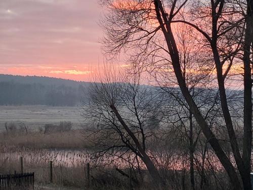 Żabi Staw - image 14