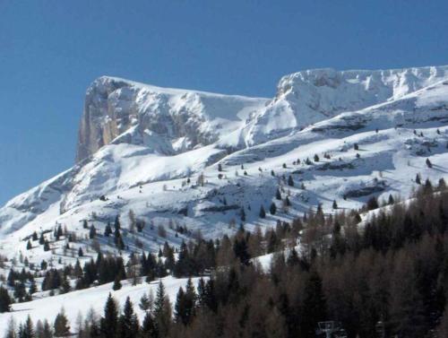 App pied pistes 6-12 p Alpes Sud ski soleil rando - Location saisonnière - Dévoluy