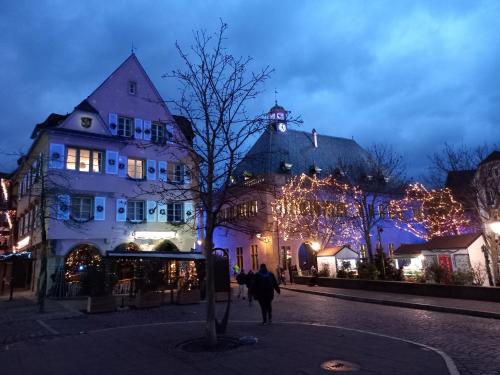 Maison proche du centre de Colmar - Chez Michel in Horbourg-Wihr