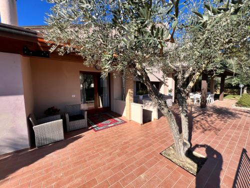 Villa del Sole - image 5