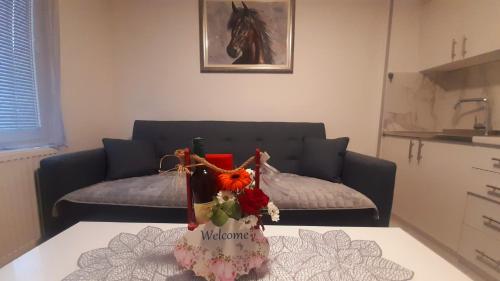 Apartman MiSSS in Pale