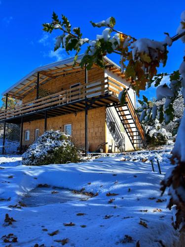 Villa & Apartments Cityview Ohrid in Lagadin