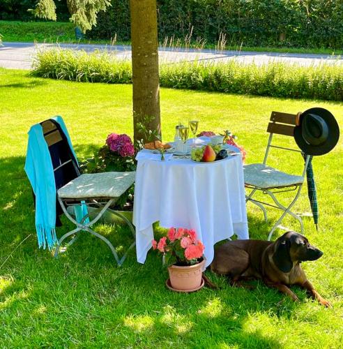 Pension Vila Julie - image 10