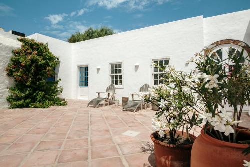 taman, Casa Los Árboles - Best Villas Lanzarote (Casa Los Arboles - Best Villas Lanzarote) in Teguise