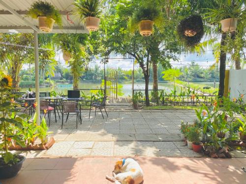 Laoxao Lakeview Homestay - 편의 시설/서비스