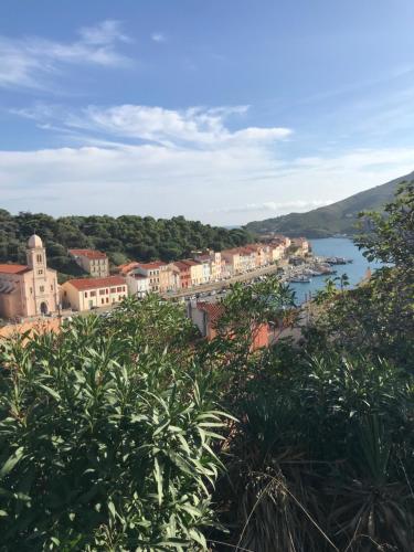 T3 - coeur de Port-Vendres RDC Cour - Apartment - Port-Vendres