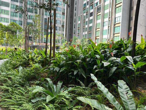 KL Pantai Bangsar South 3BR 6-11 pax next to NPE KL Pantai Bangsar South 3BR 6-11 pax next to NPE