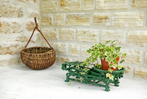 Country House Vinko - image 9