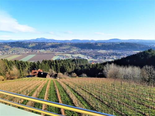 Genuss Appartement am Familien Weingut