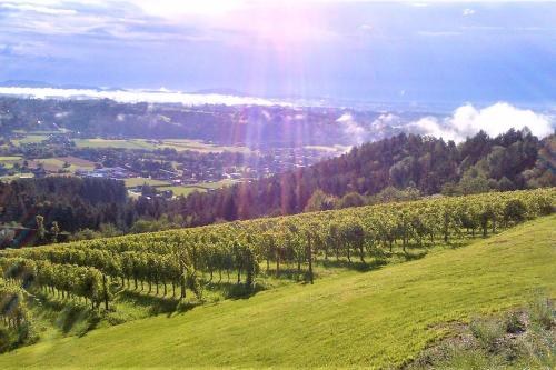 Genuss Appartement am Familien Weingut