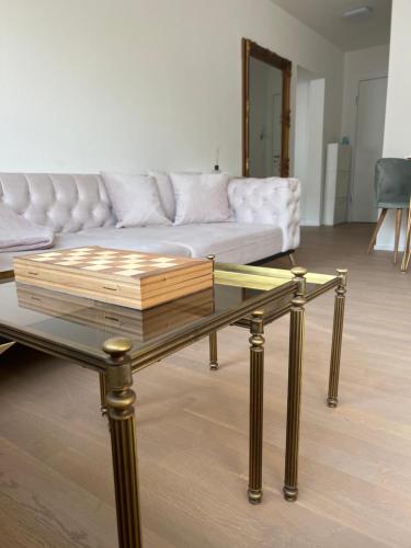 Best located & fully equipped apartment at Basel SBB main station, Bazylea