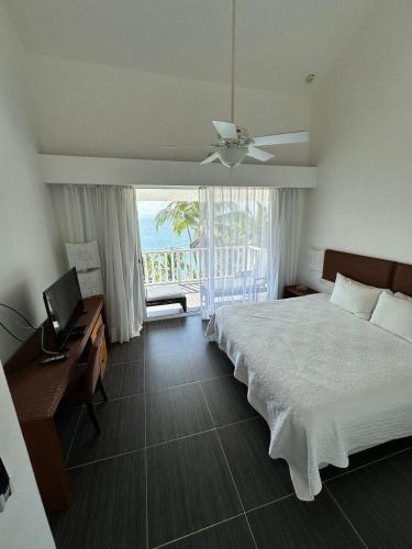 Vista Mare Spectacular Ocean View Top Floor 1-Bedroom Condo, Samana in Samana