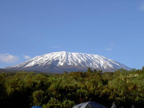 KILIMANJARO HOME OF RASON