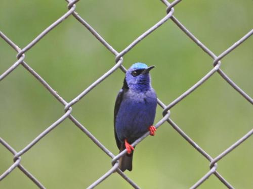 Casa Isabella