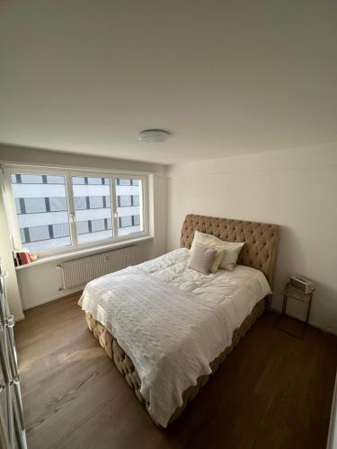 Best located & fully equipped apartment at Basel SBB main station, Basilej (fotografie 6)