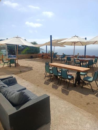 Skats, Hostal Quiriyuca Sur in Puchuncavi